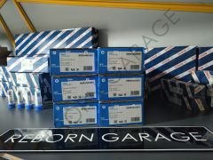 Delphi BEBE4N01001 Enjektör Renault Premium 460