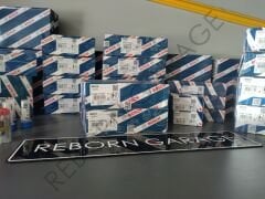 Bosch 0445116001 Enjektör